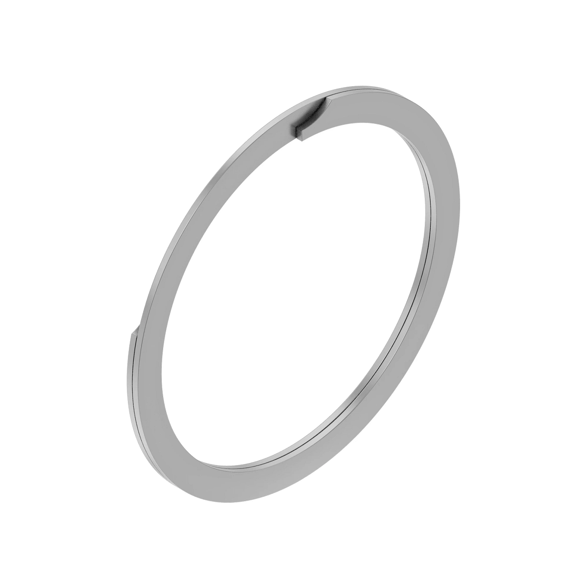 Ring (Retaining Internal)