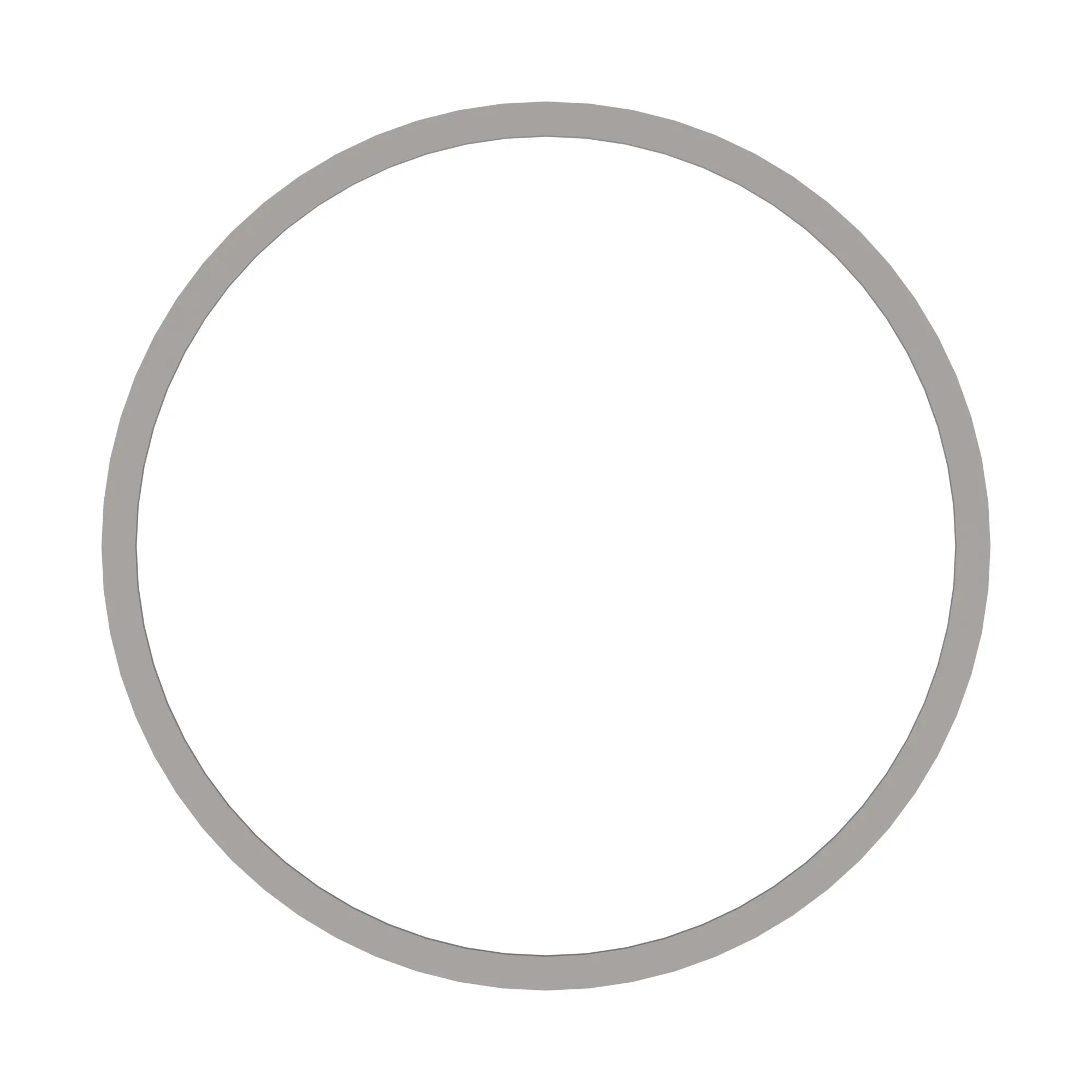 Snap Ring