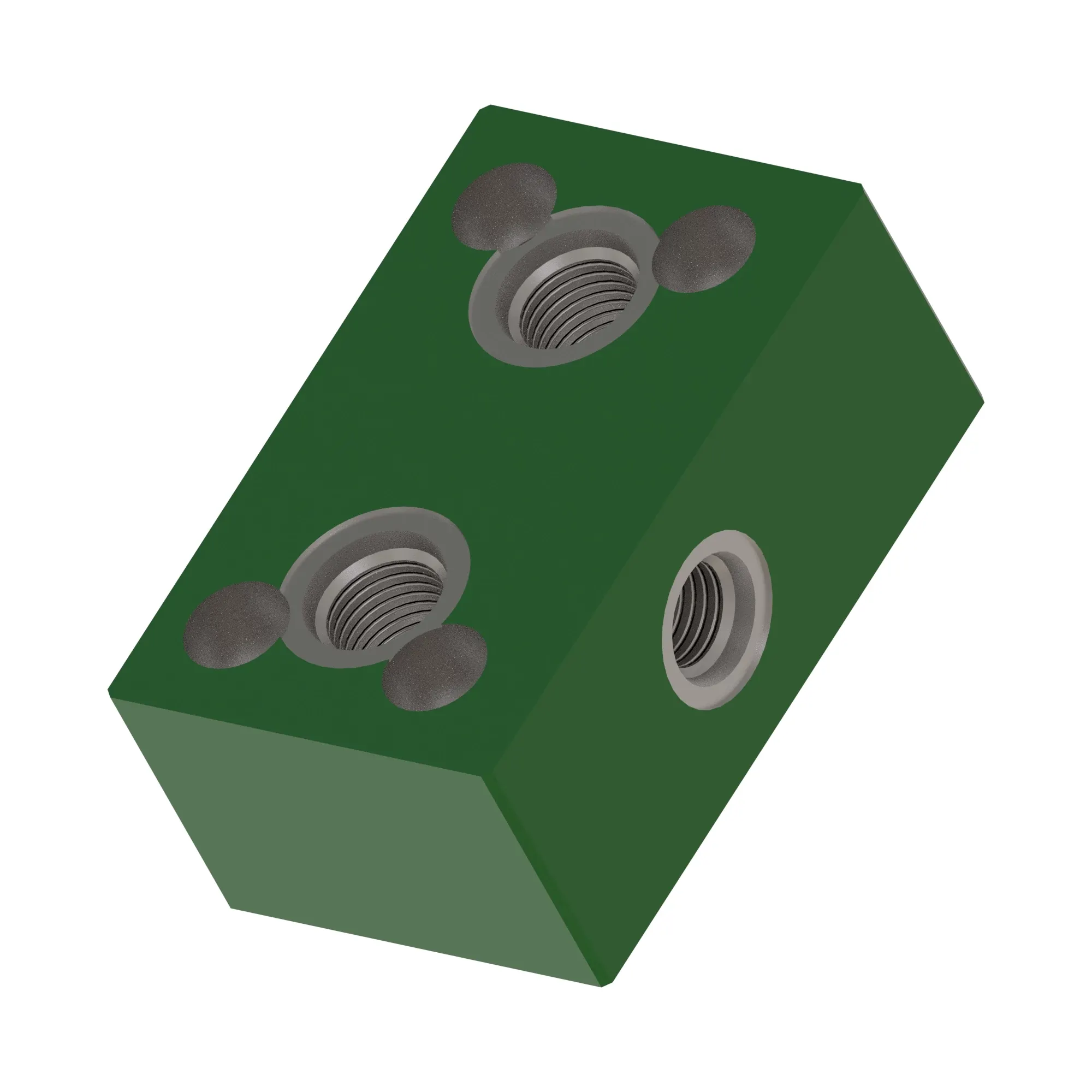 Manifold