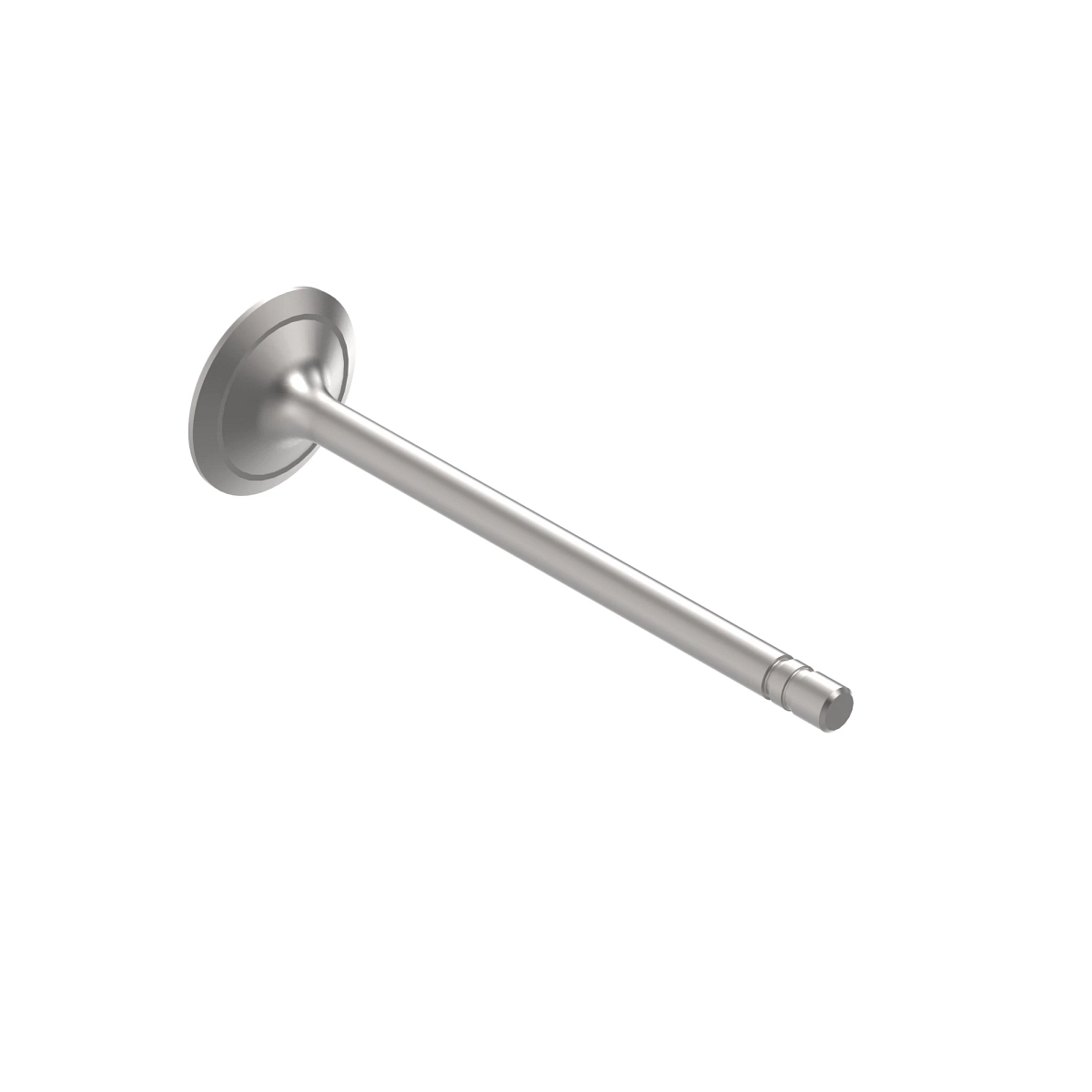 Valve, Inlet