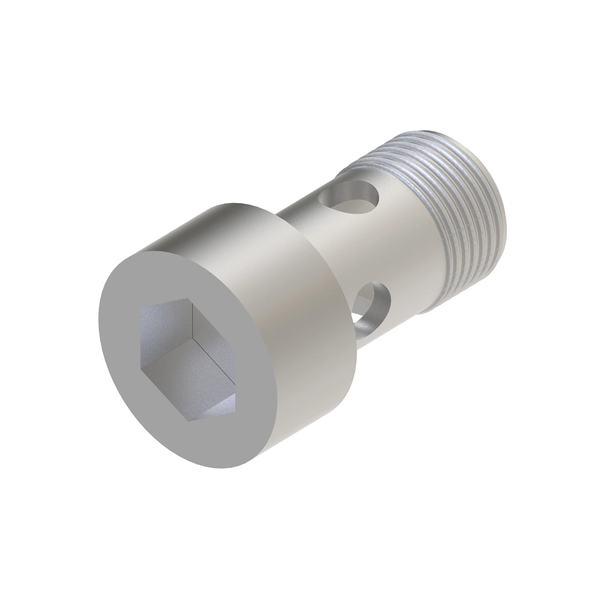 Hollow Screw, Fitting, Banjo Scr, M