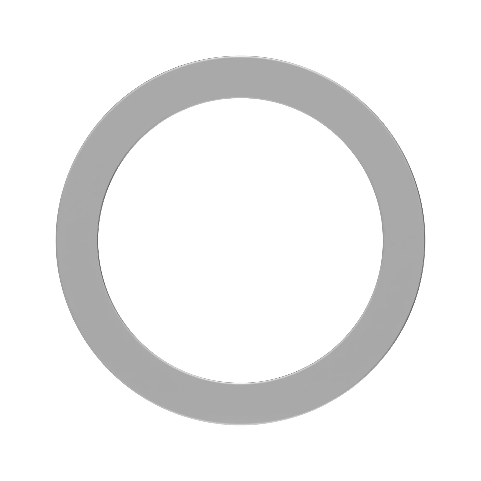 thrustwasher