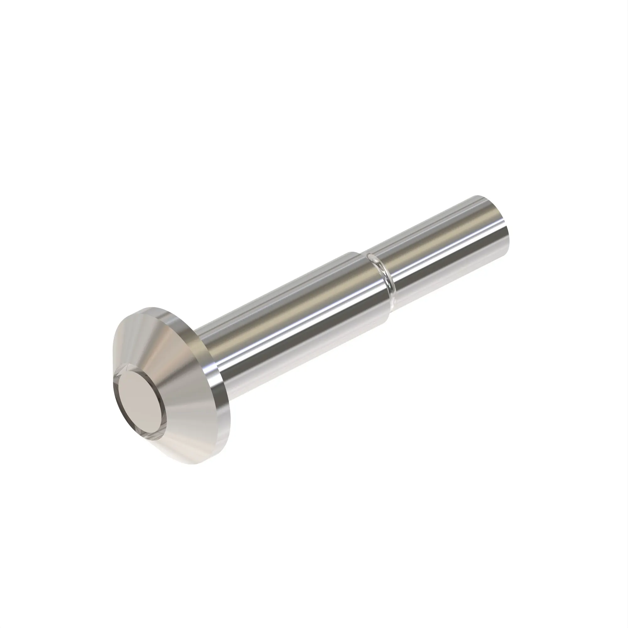 RIVET, PROTRUDING HEAD