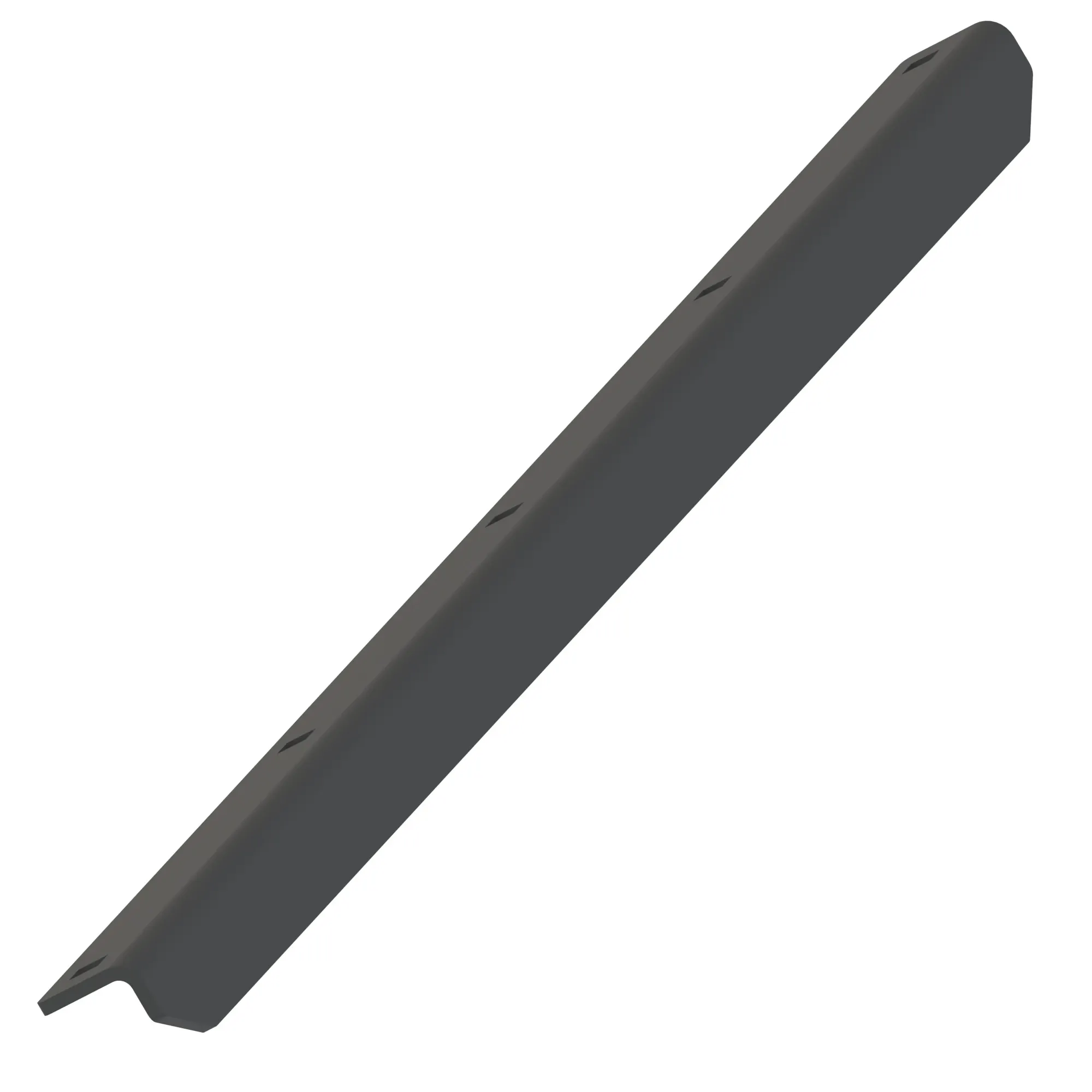 Rib