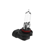 bulb
