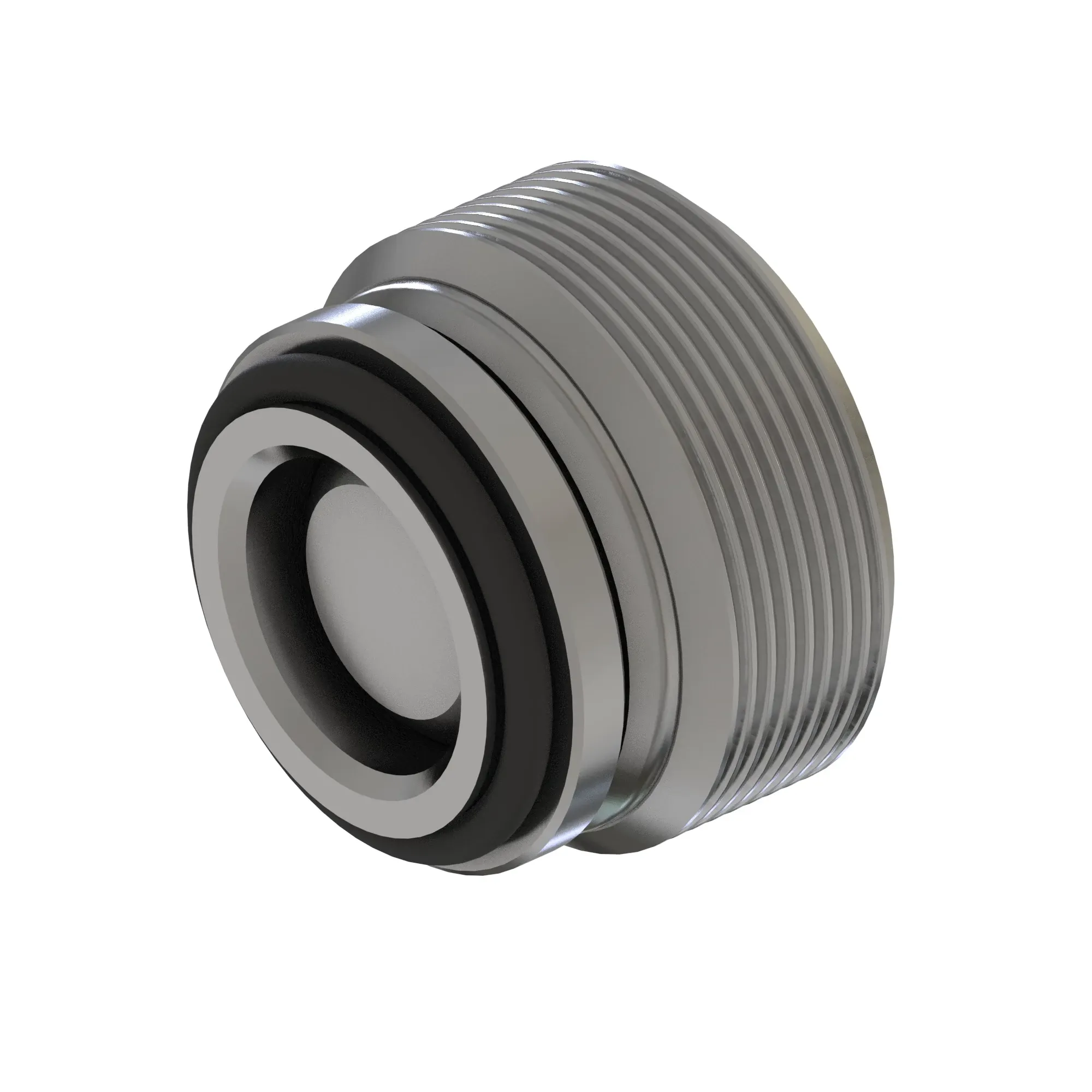 Check Valve
