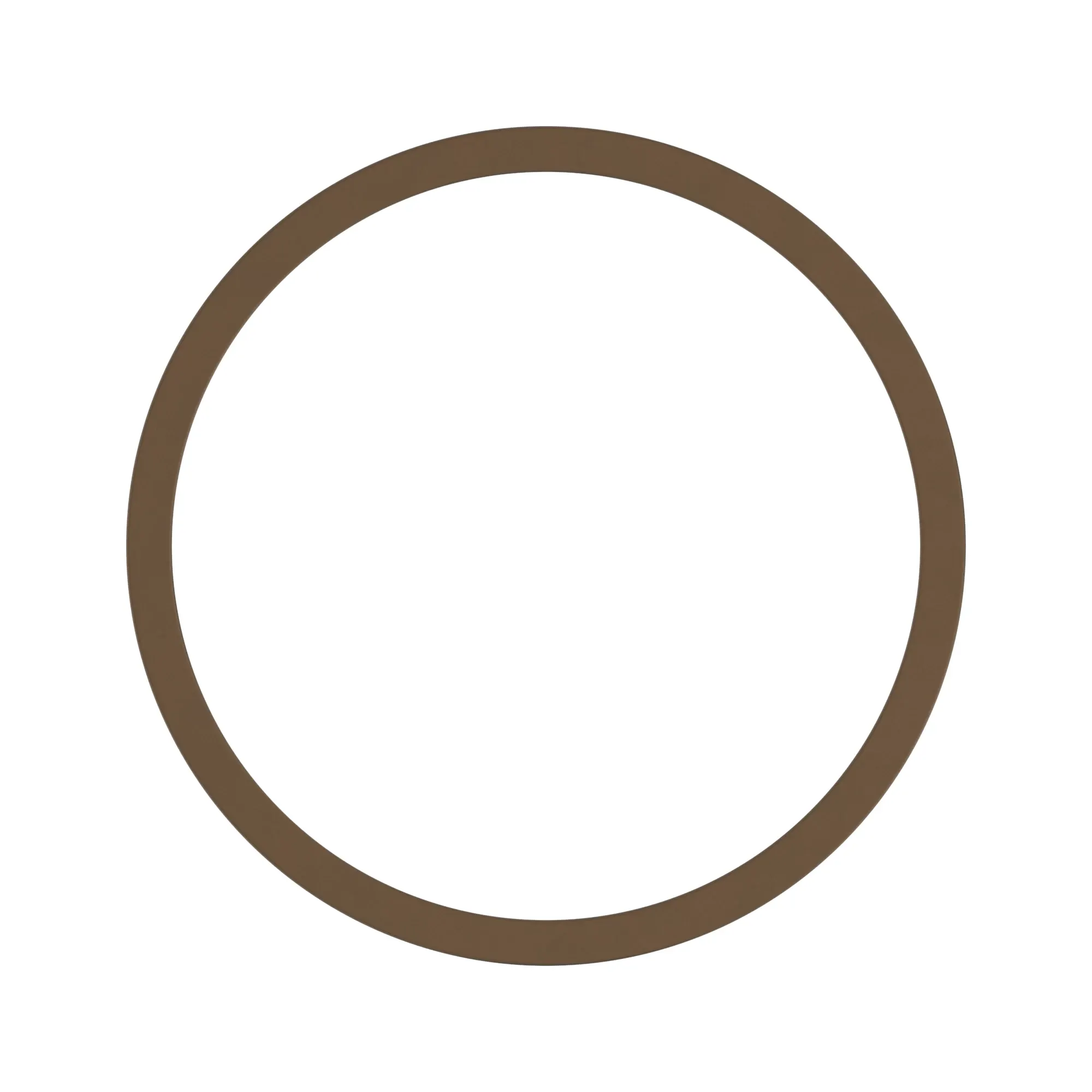 Disk Spring