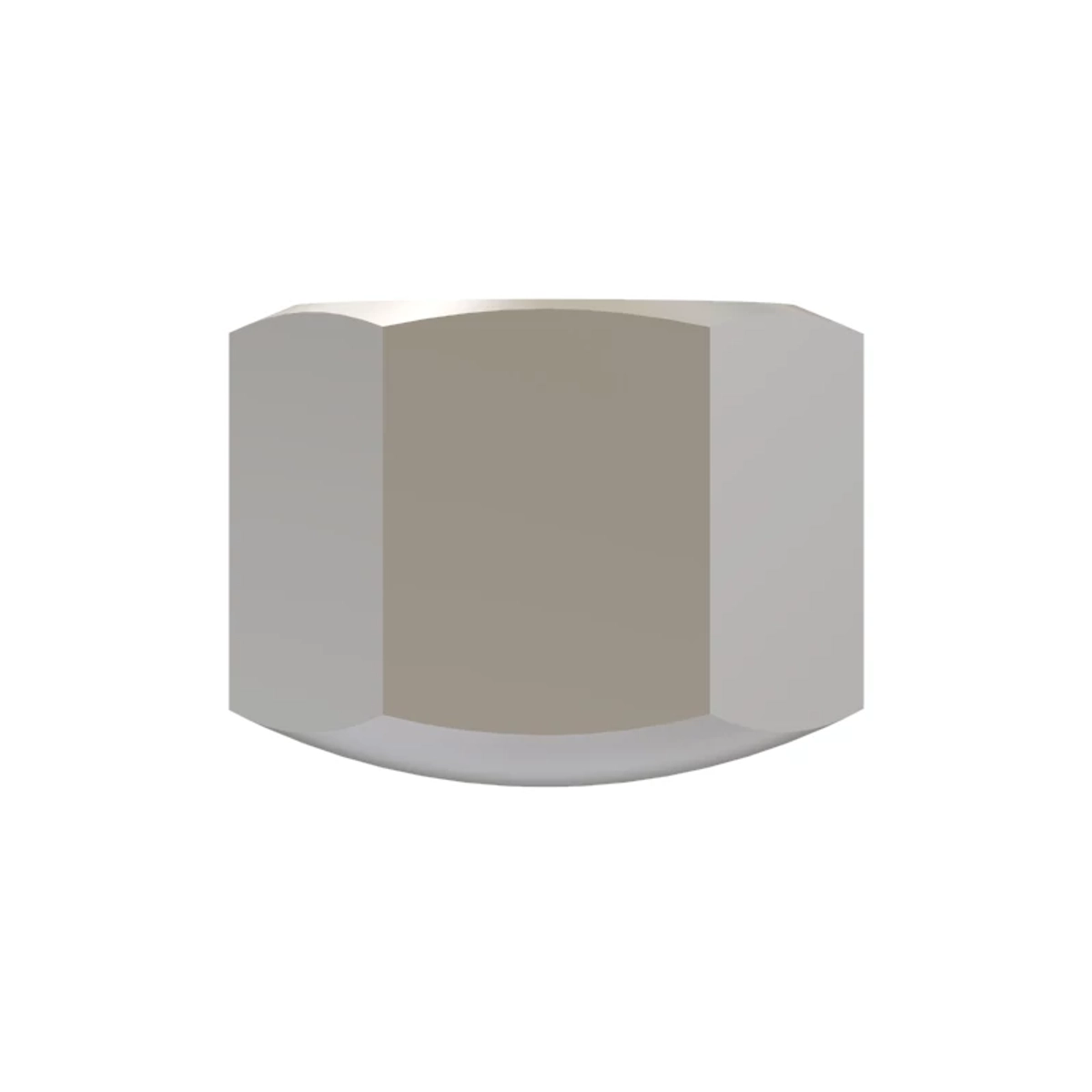 Hex Nut
