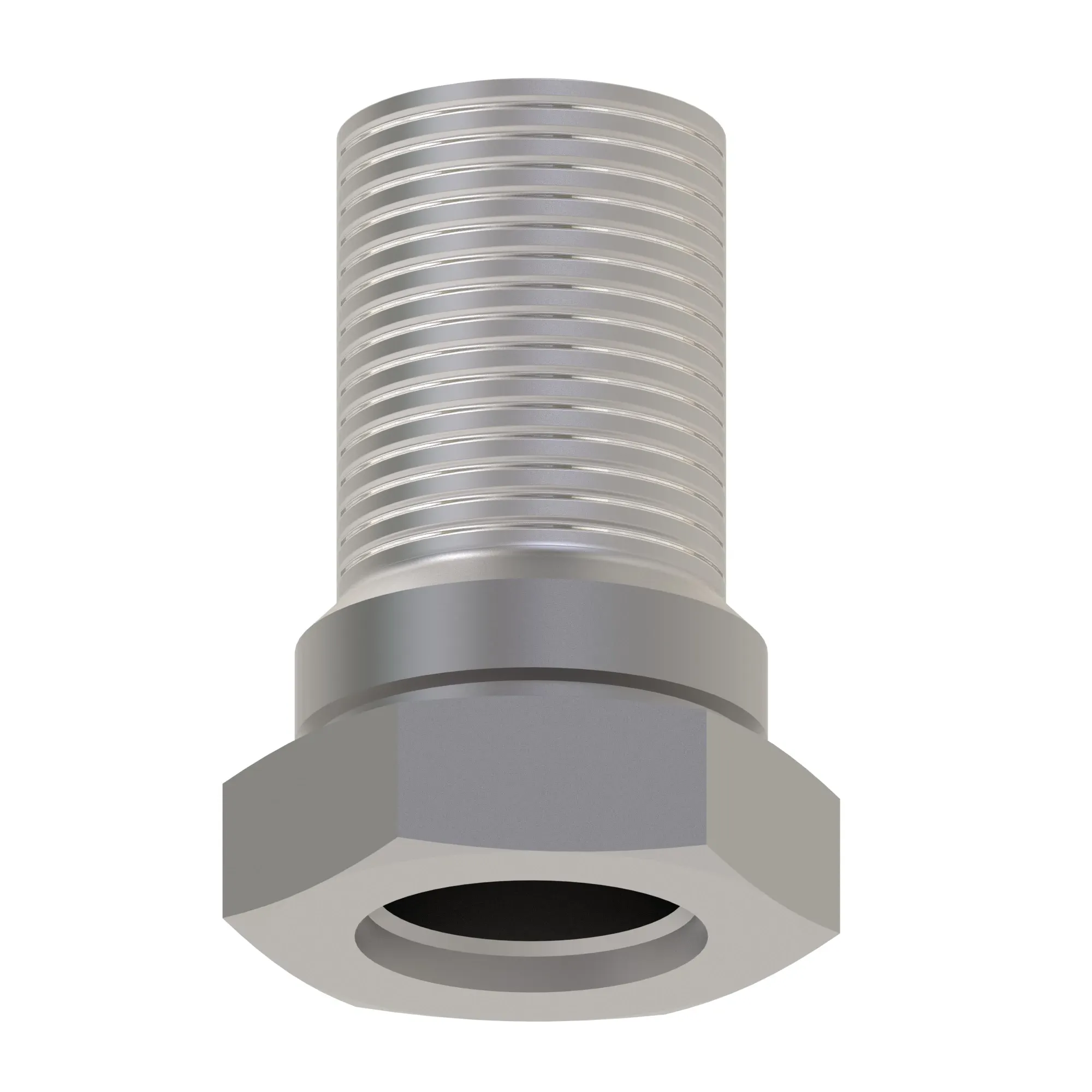 Fitting Plug