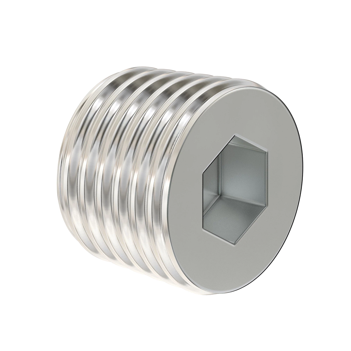 Pipe Plug
