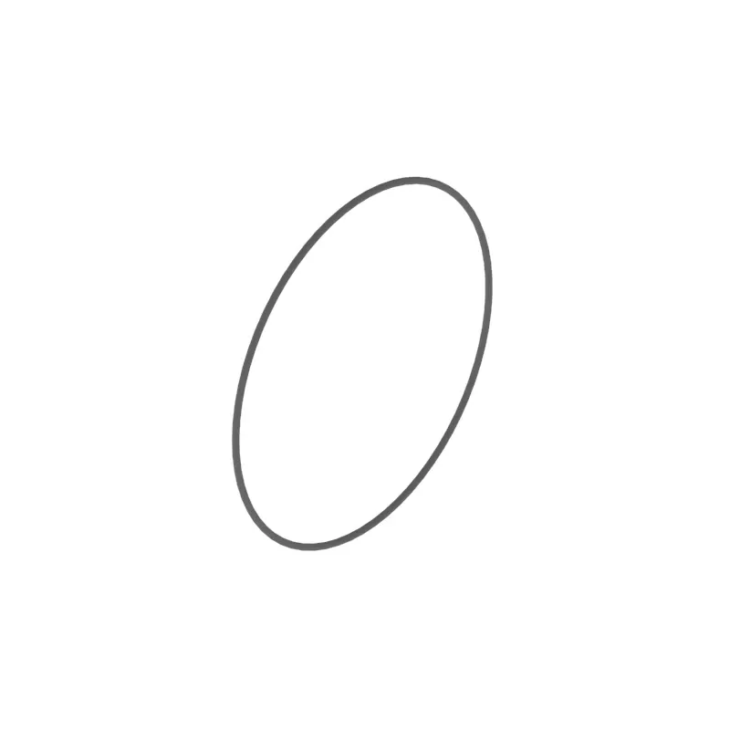 O-Ring
