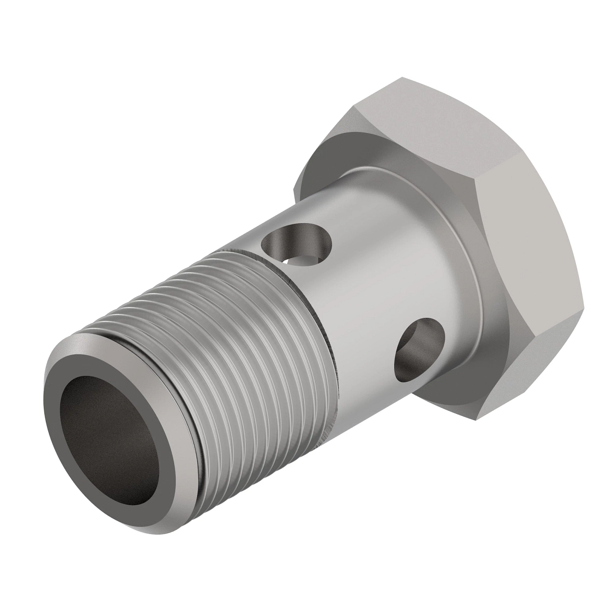Hollow Screw, Fitting, Banjo Scr, M
