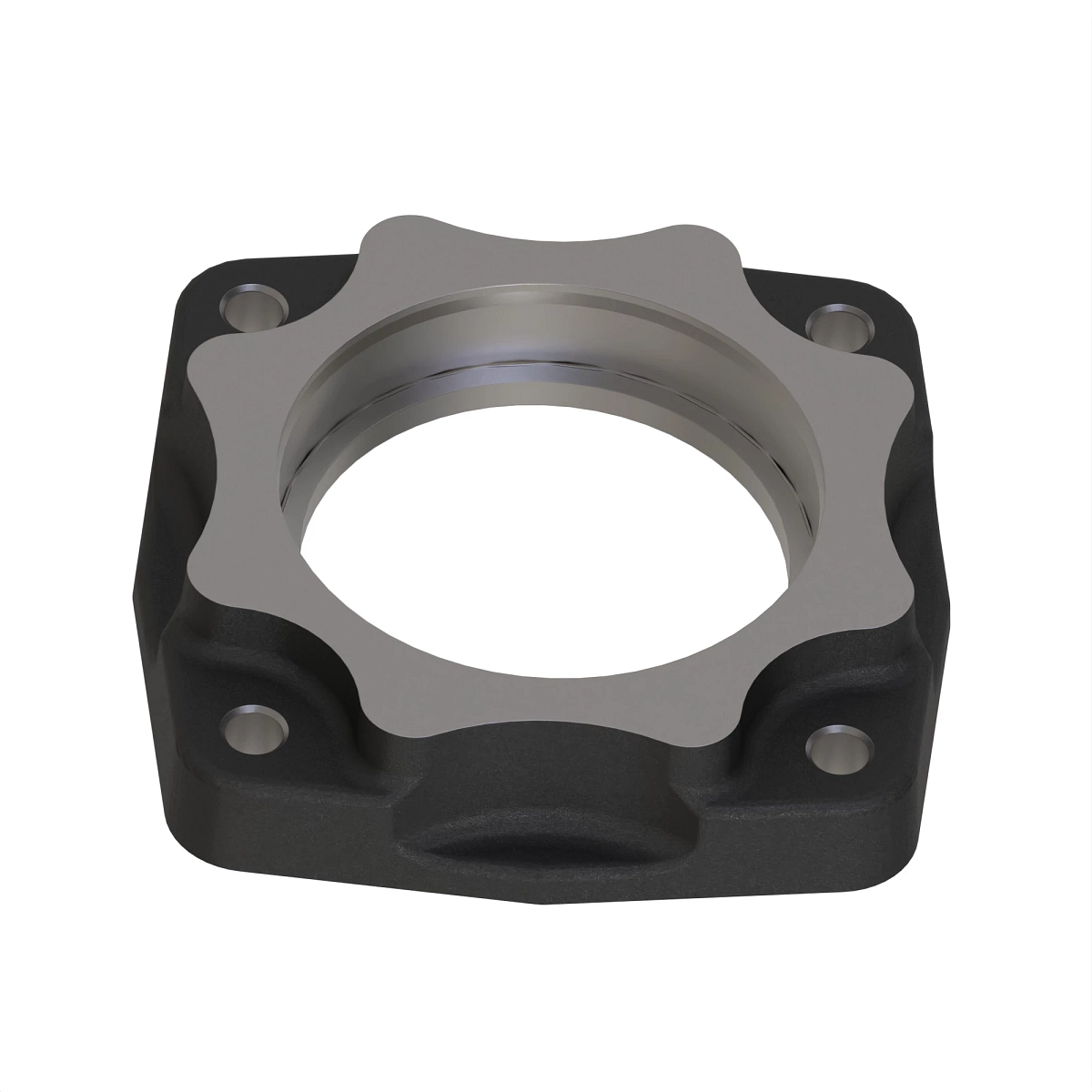 Retainer, Oil Seal, Rear Axle