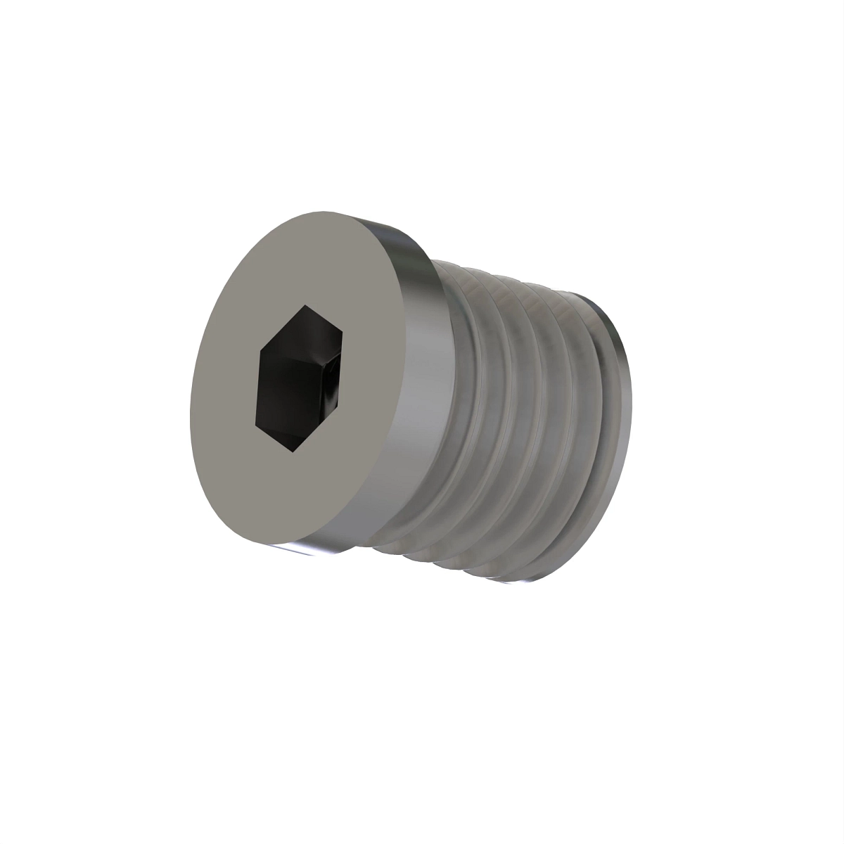Fitting Plug