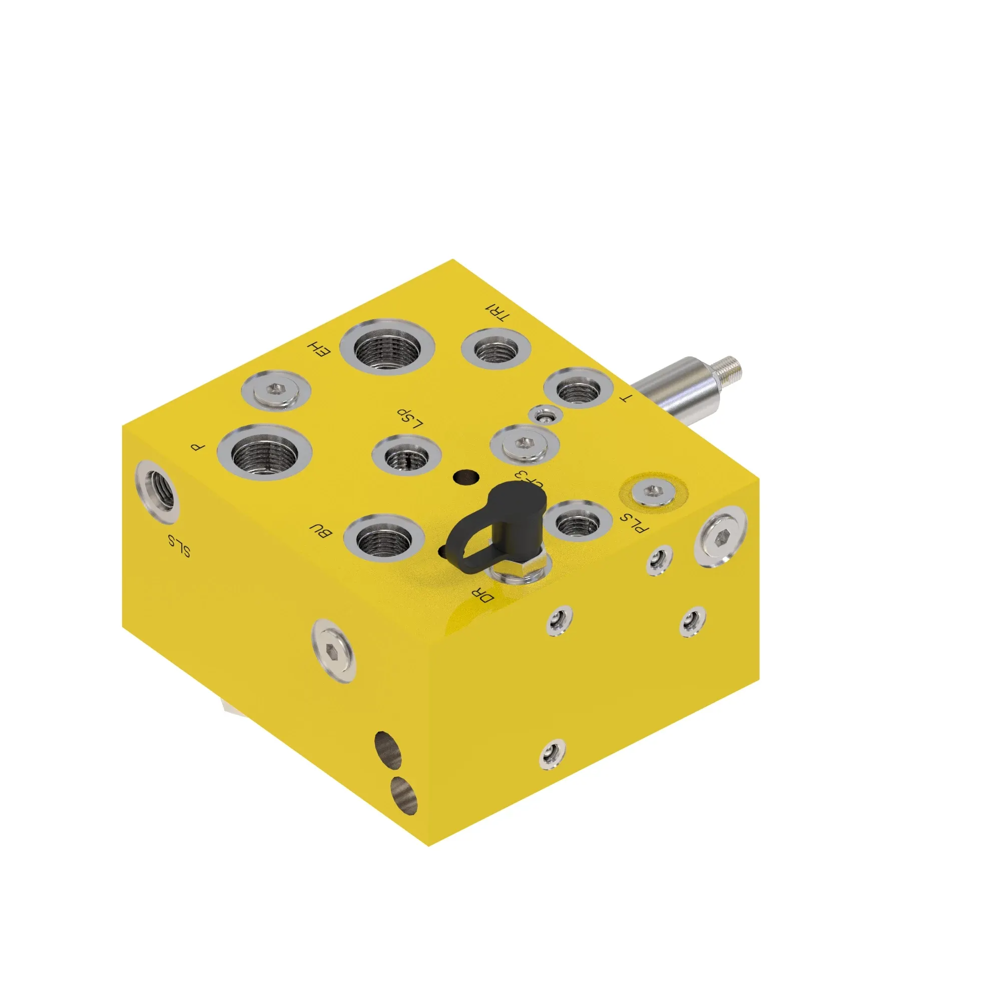 Manifold