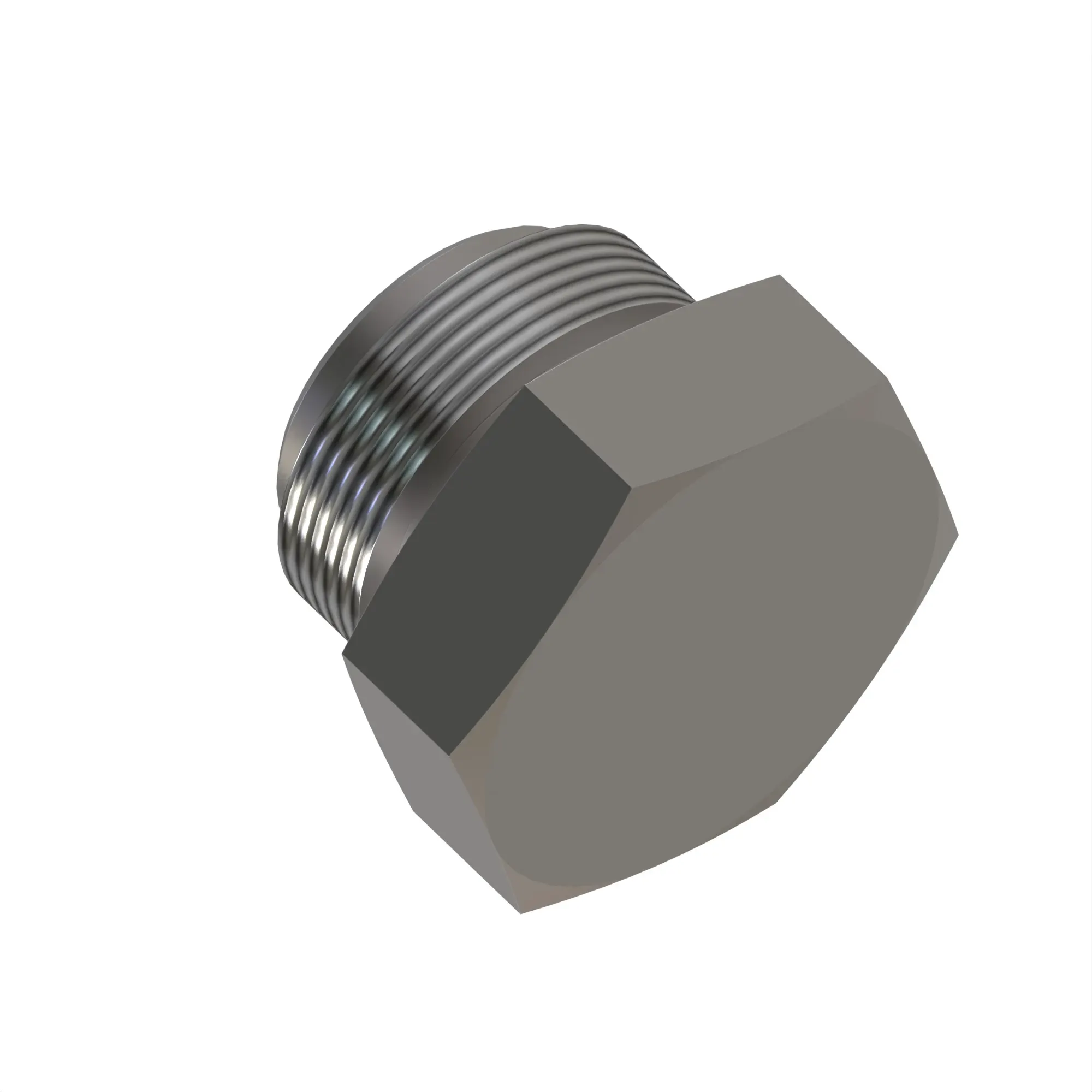 Fitting Plug