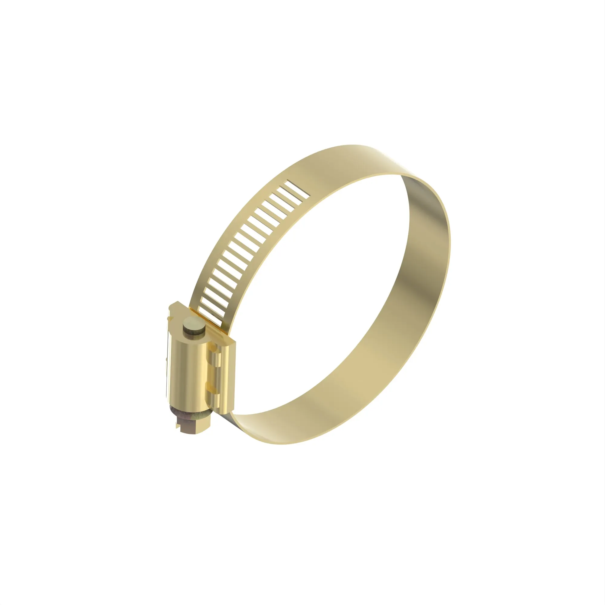 HOSE CLAMP, CLAMP, HOSE HOSE, WORM