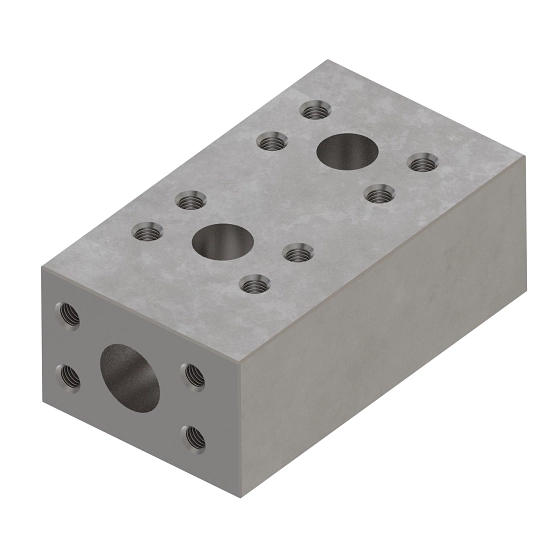 Manifold