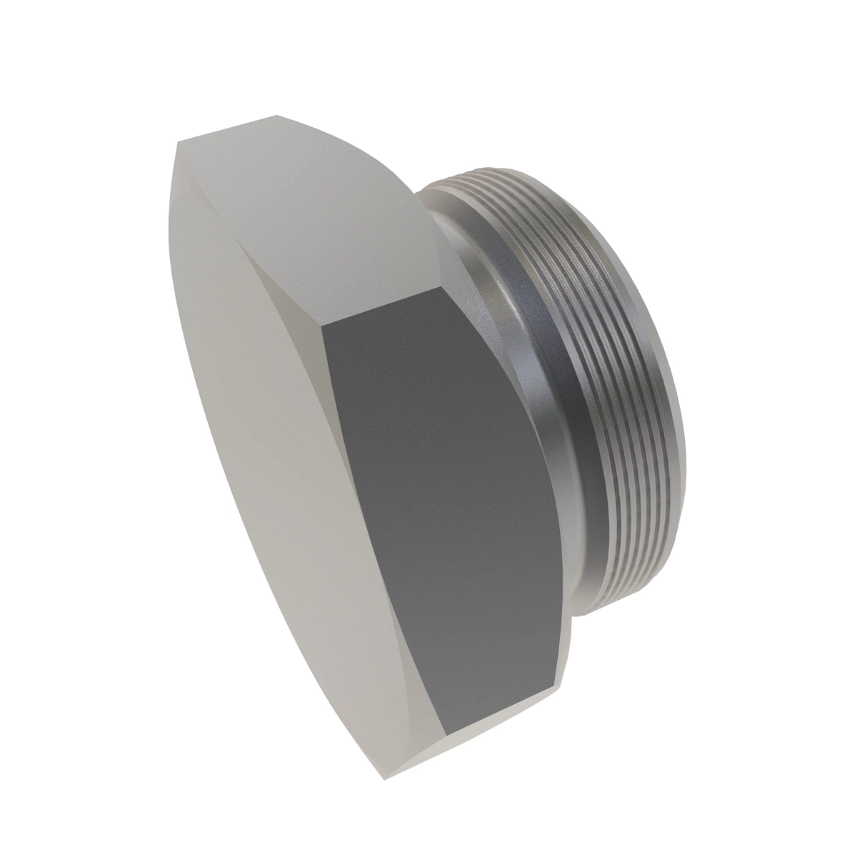Fitting Plug