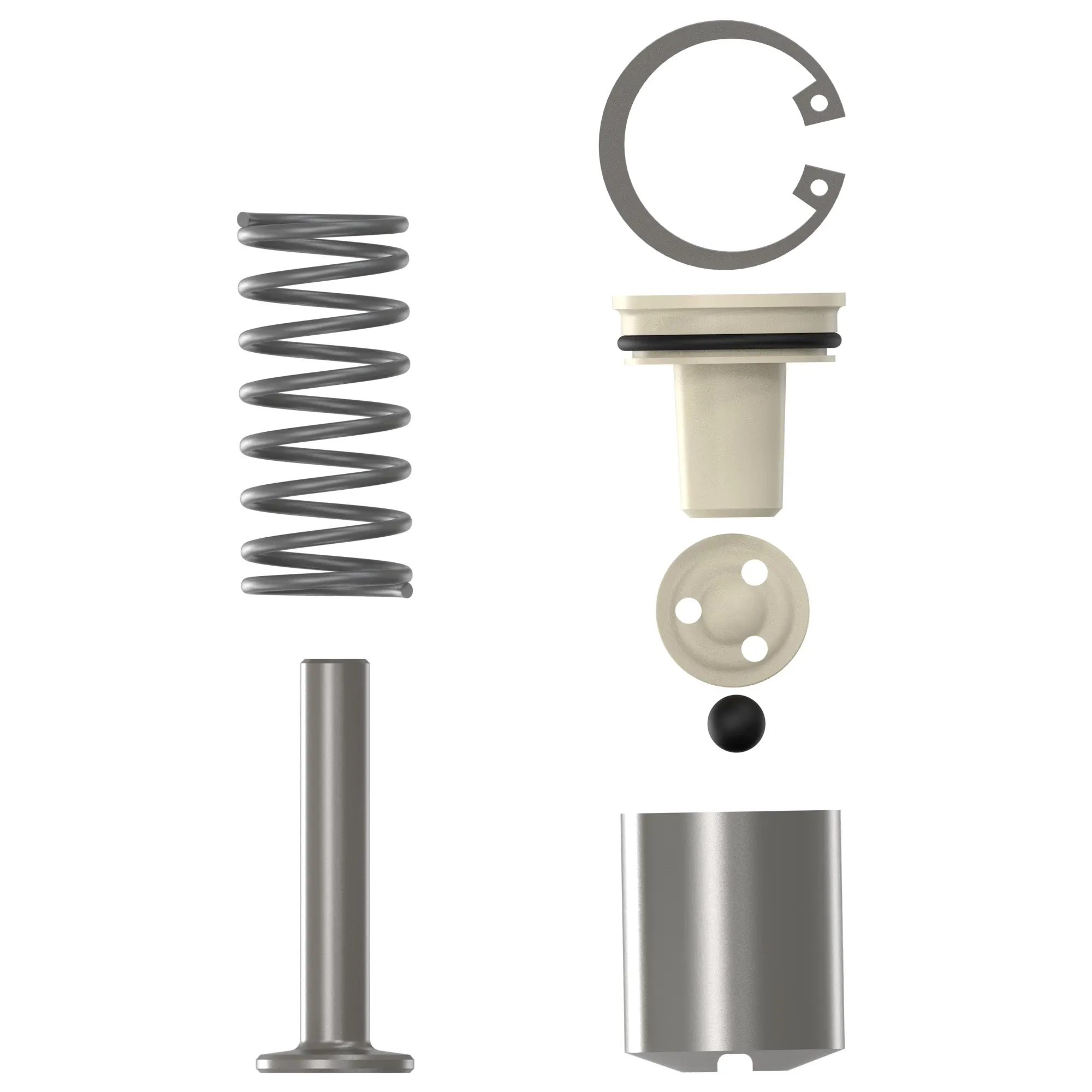 Pump Repair Kit