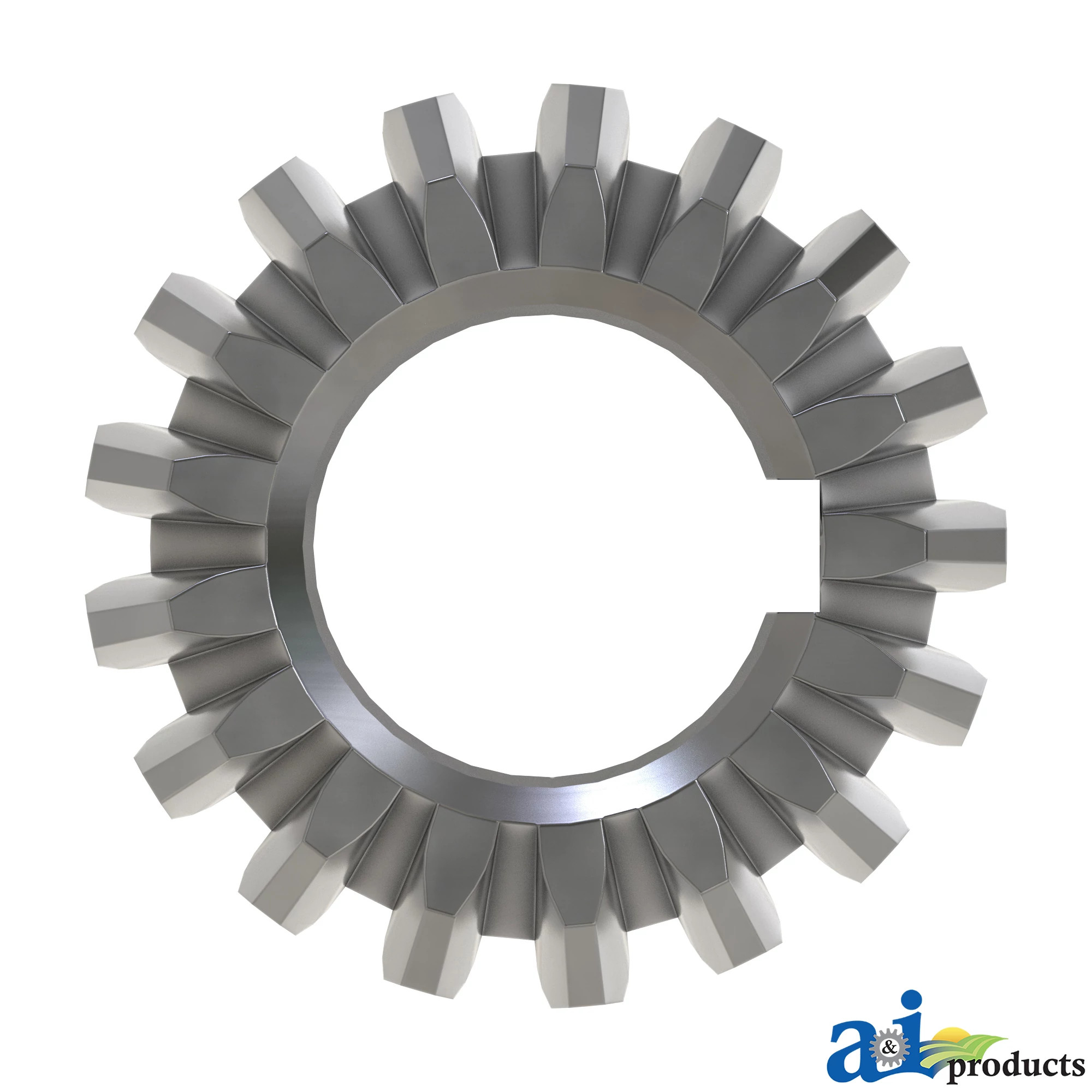 Bevel Gear
