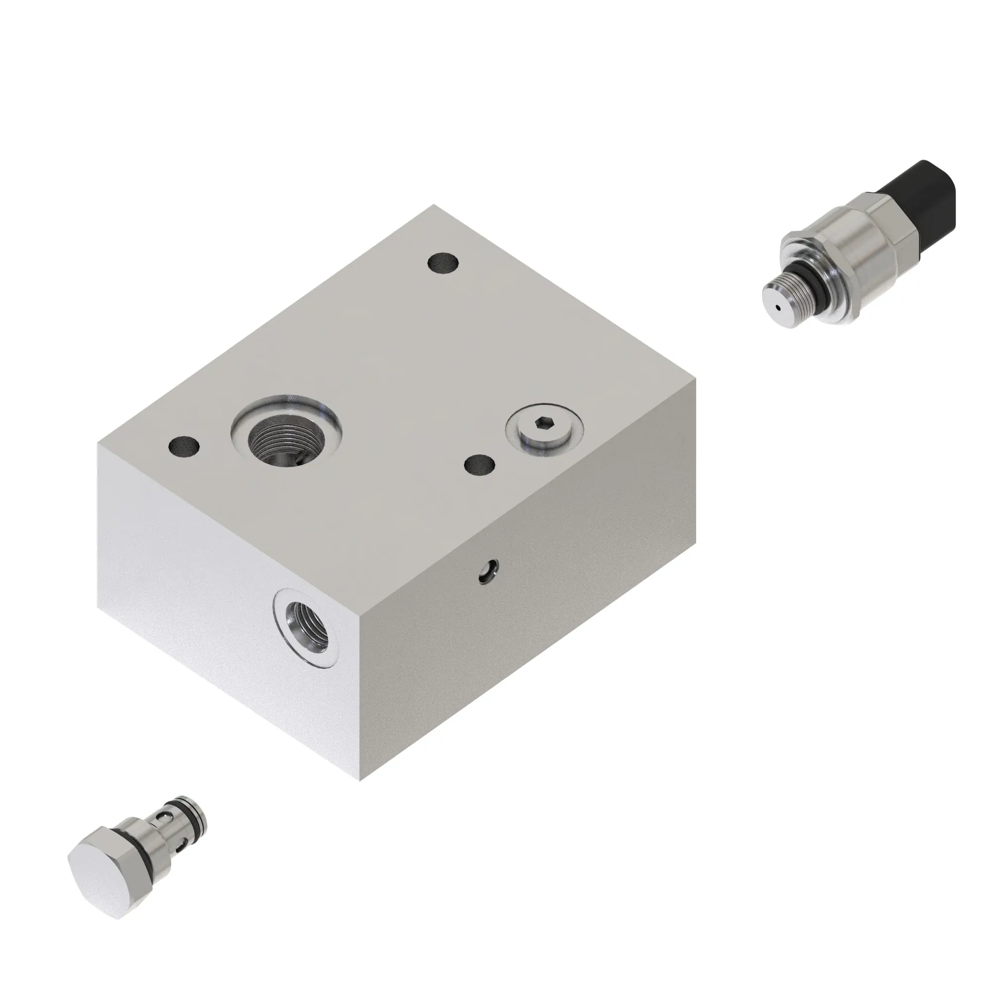 Manifold Kit