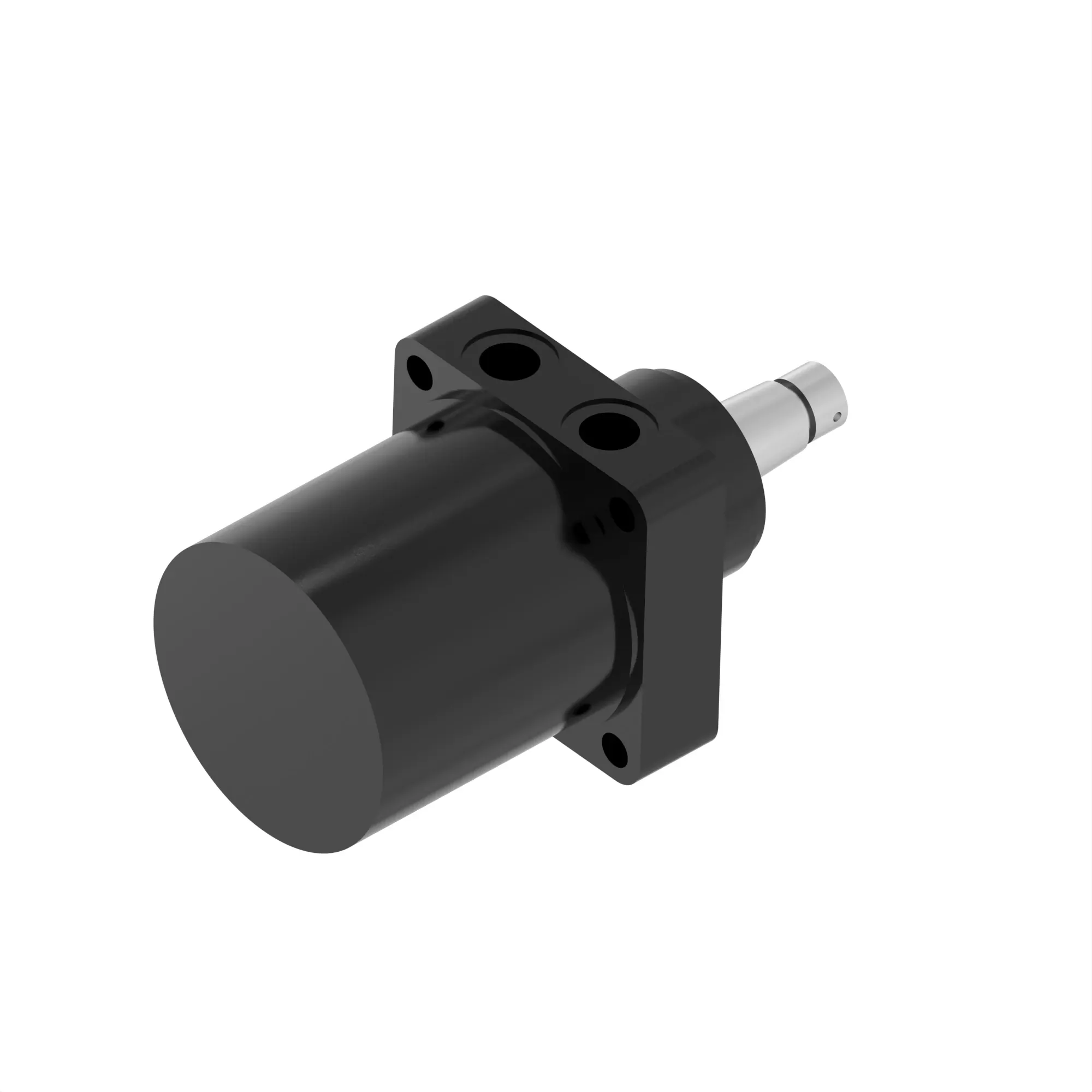 HYDRAULIC MOTOR