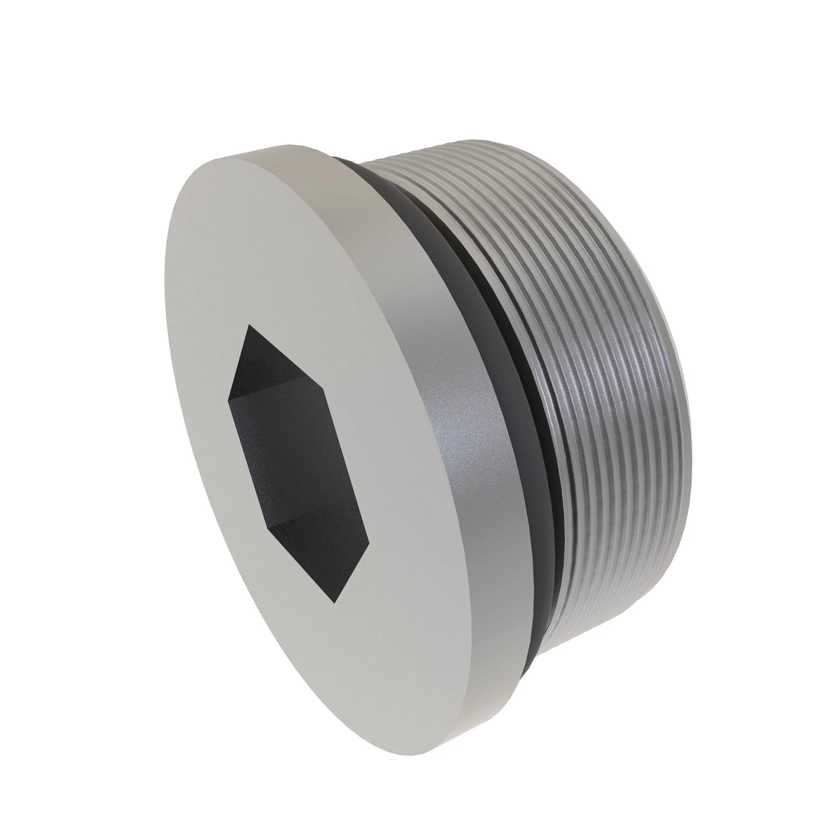 Fitting Plug