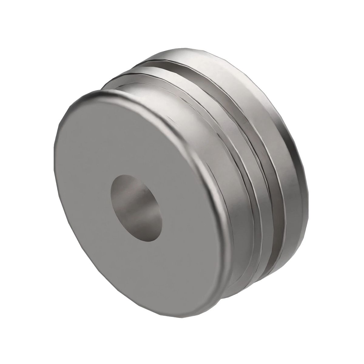 Piston, 70 X 36 X M20 2 Pc Seal