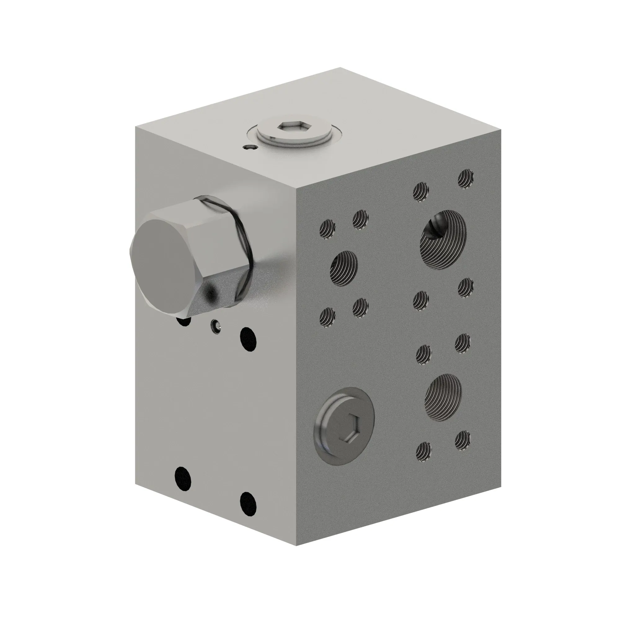 MANIFOLD
