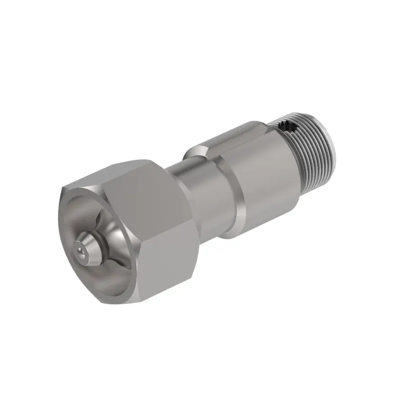 Check Valve