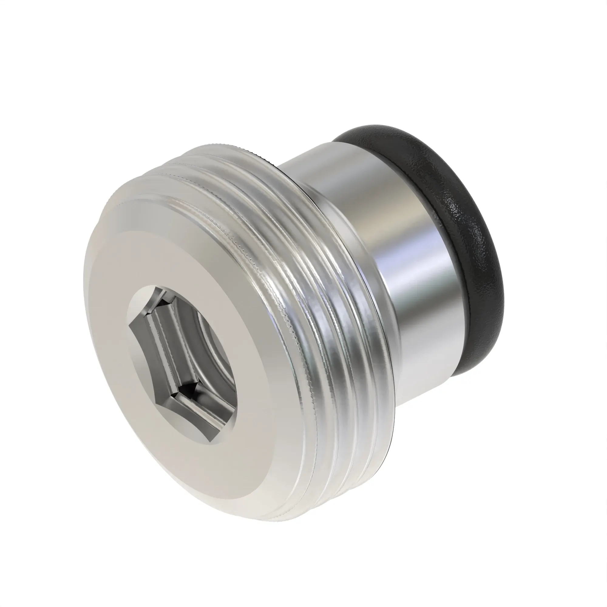 Check Valve