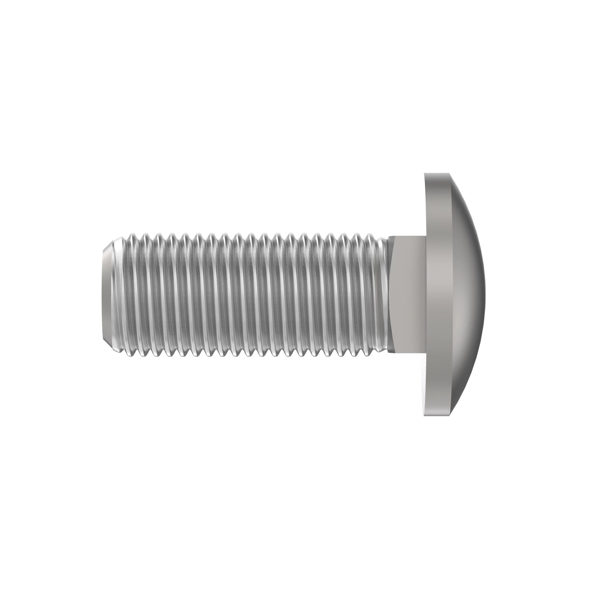 BOLT, CUP HEAD SQUARE NECK