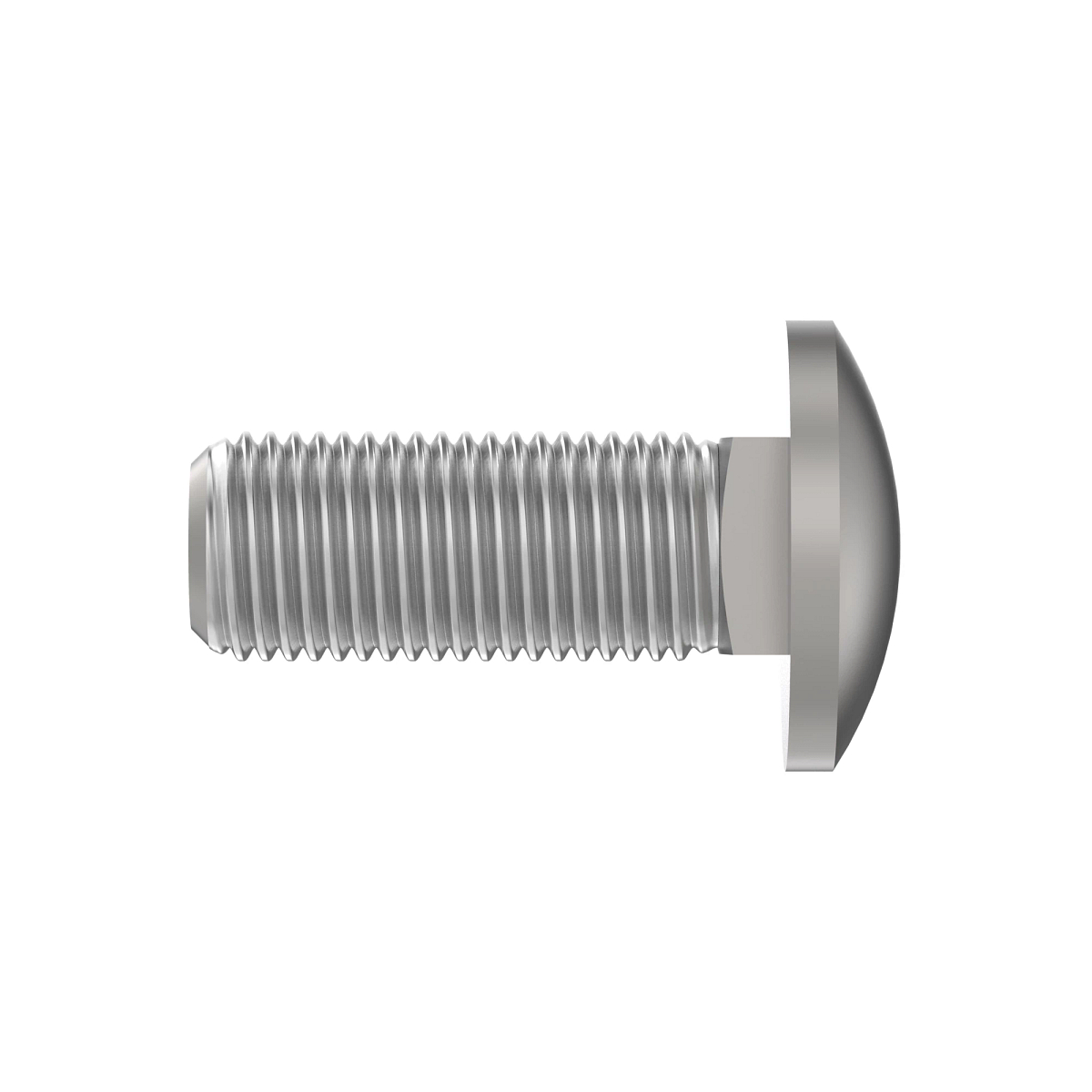 BOLT, CUP HEAD SQUARE NECK