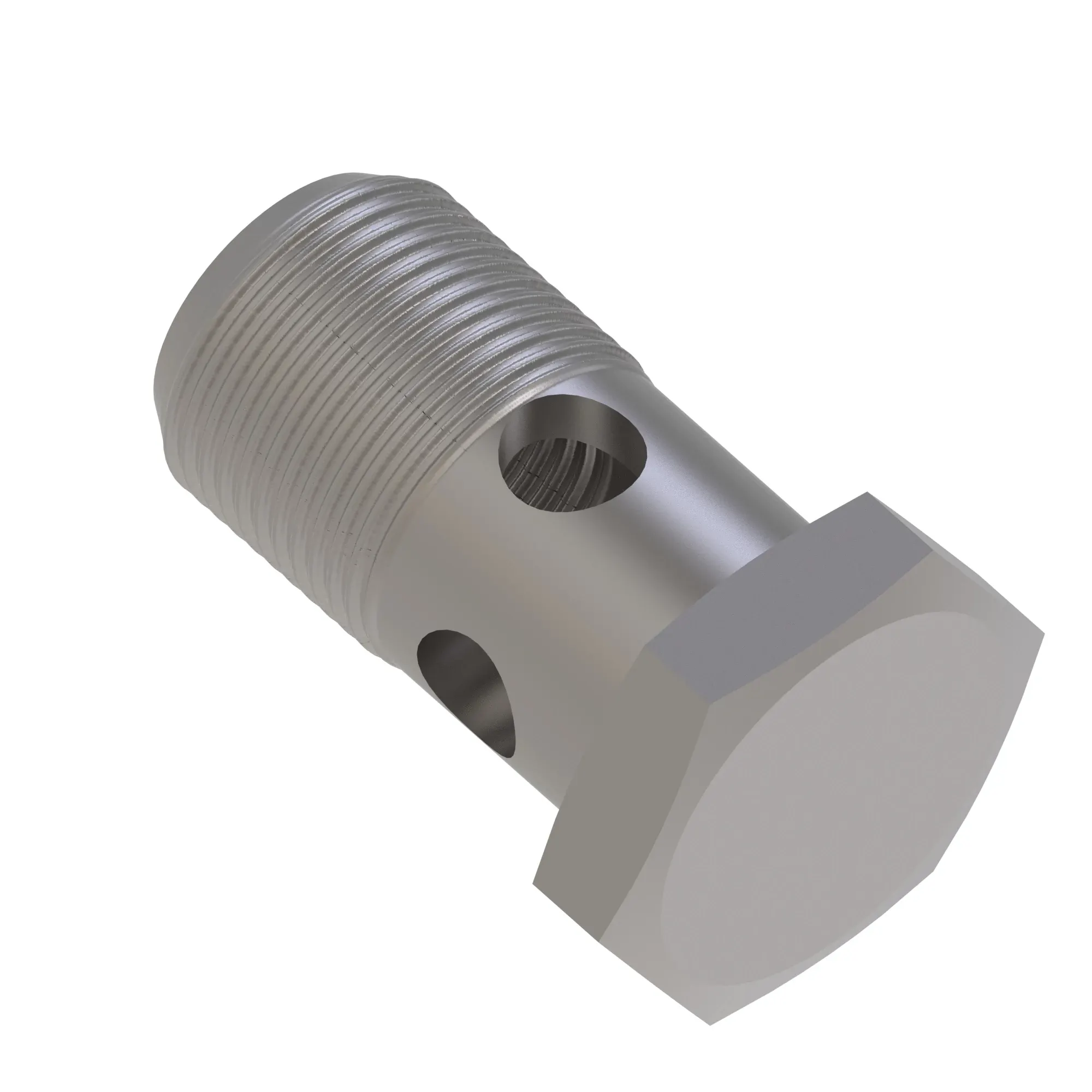 Hollow Screw