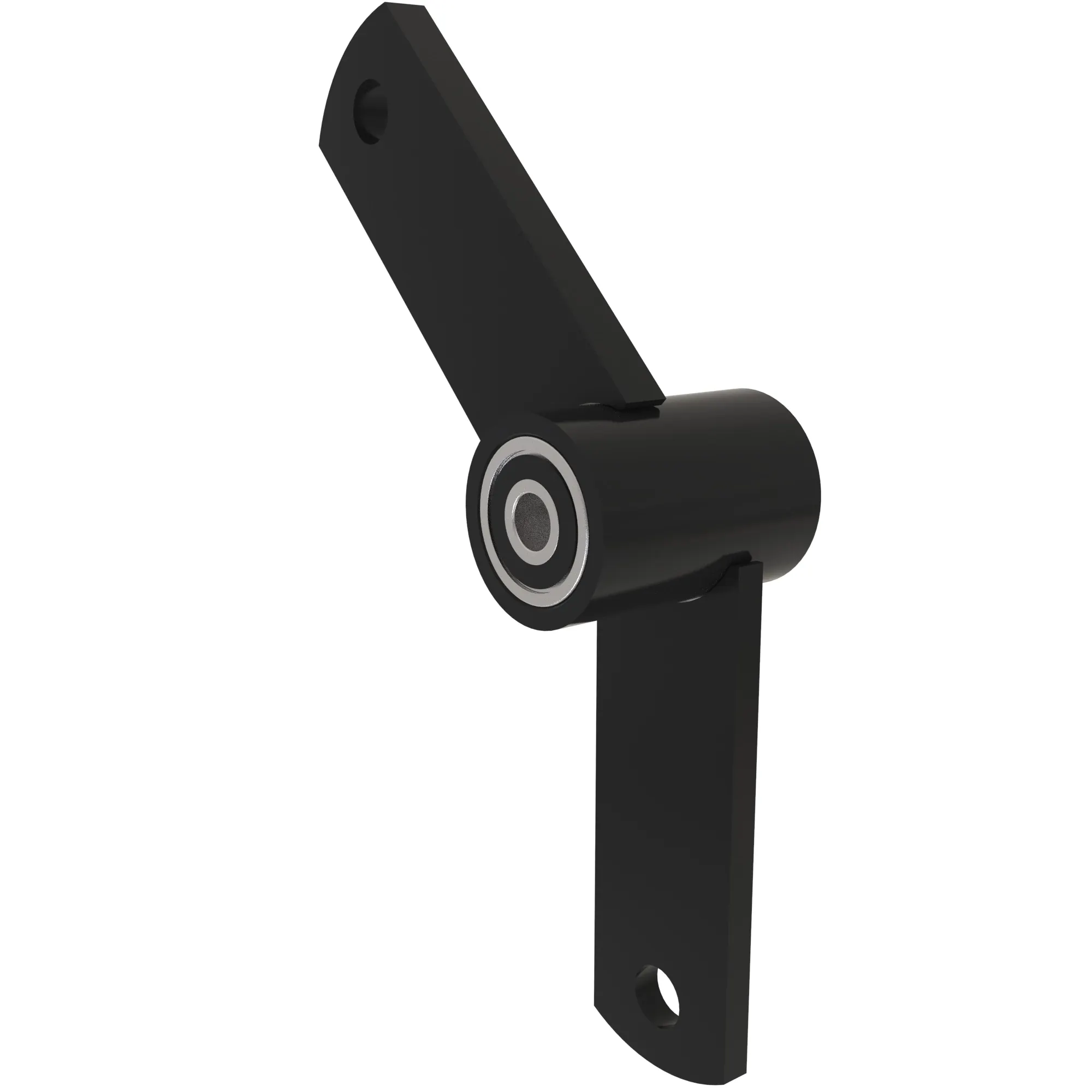 Arm