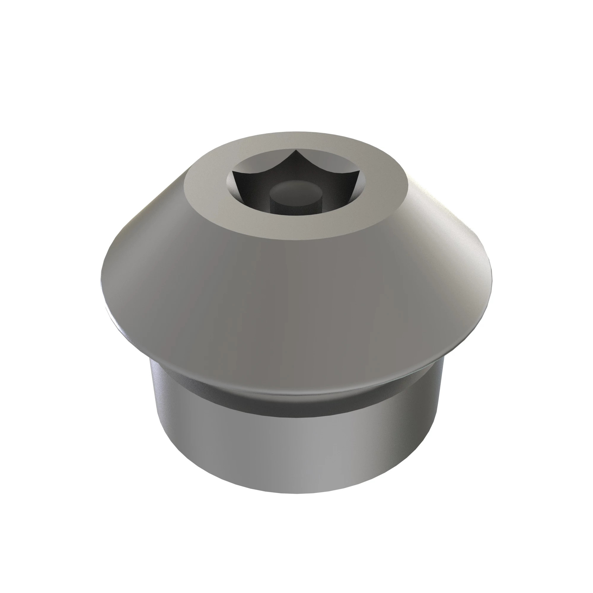 FITTING PLUG