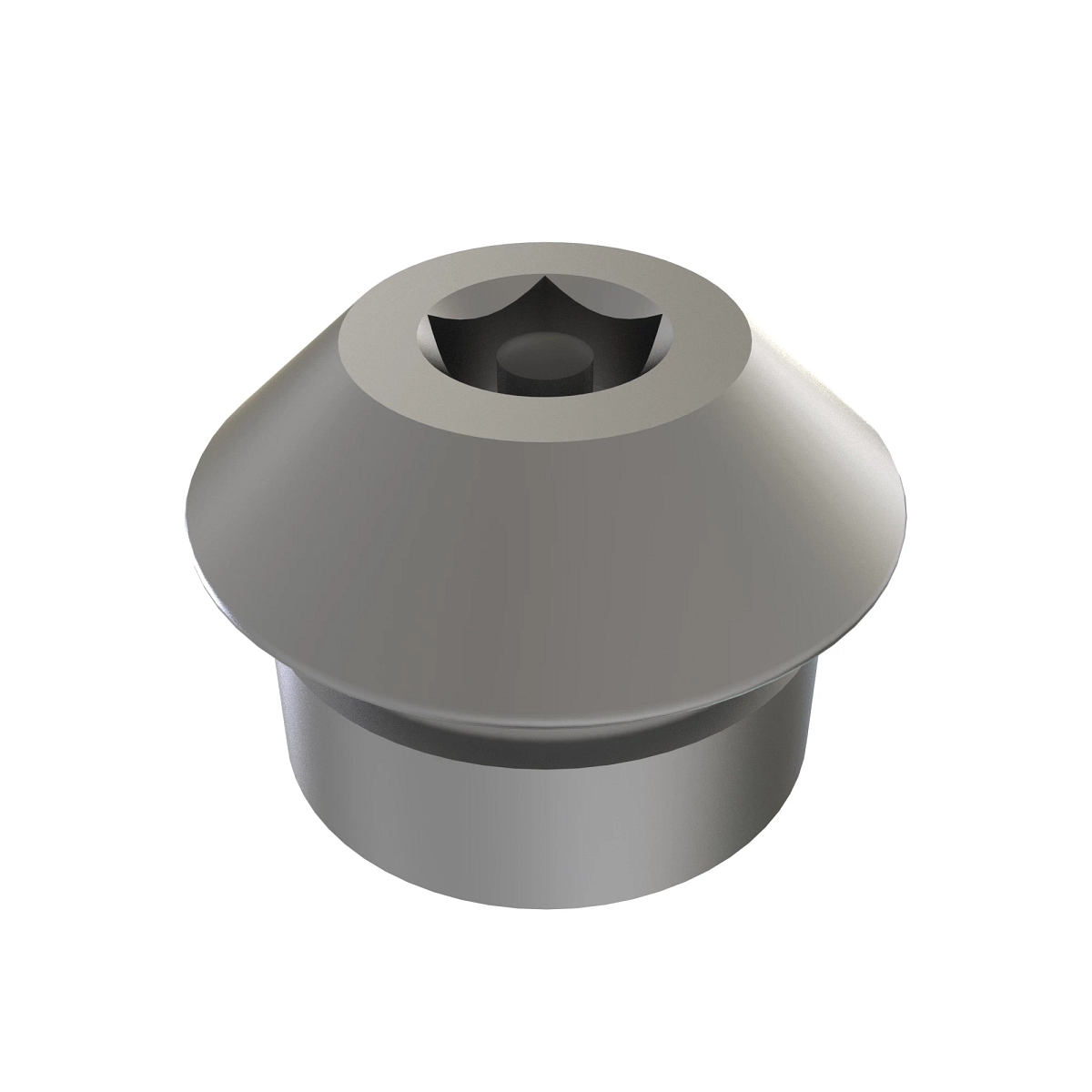 Fitting Plug