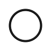 O-RING