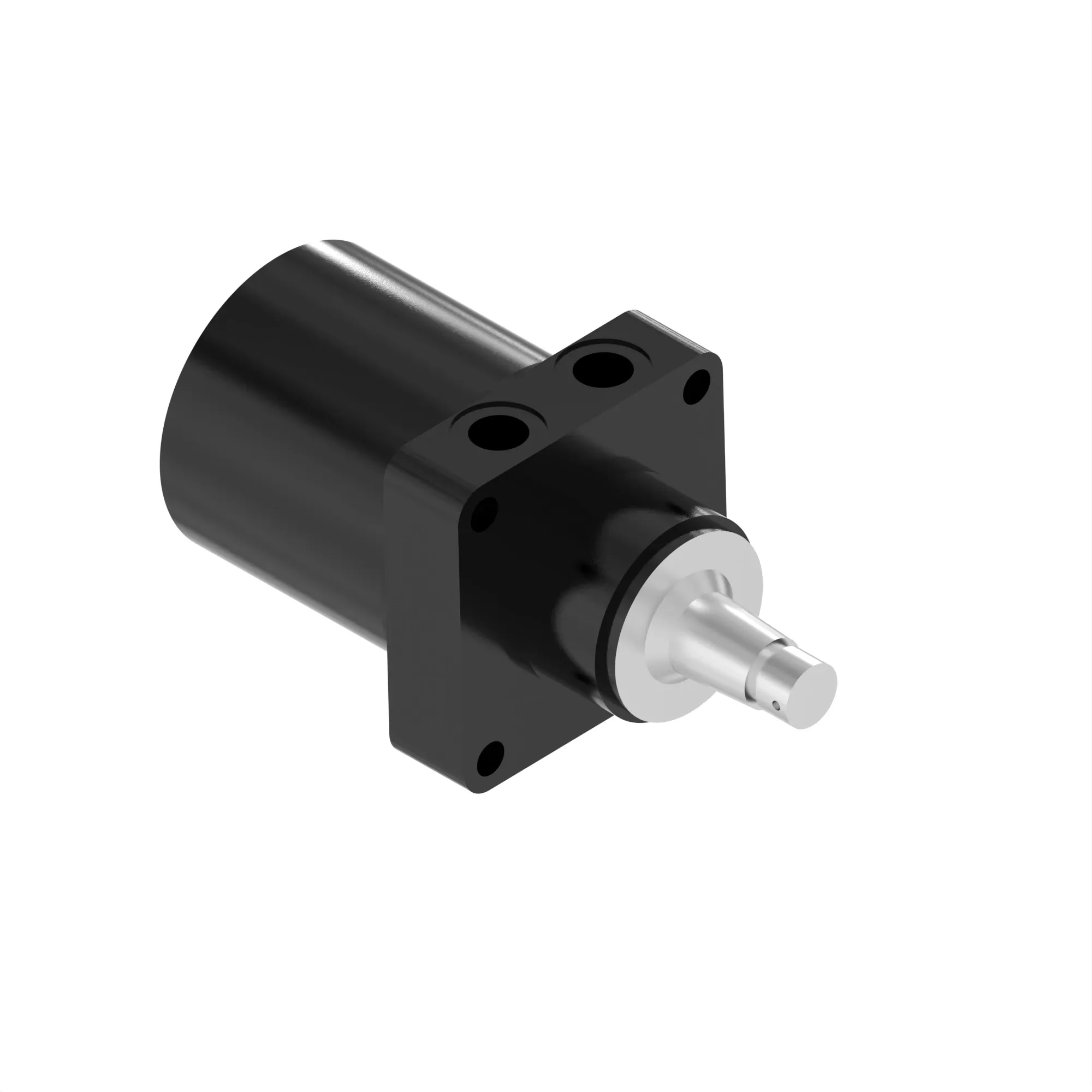 HYDRAULIC MOTOR