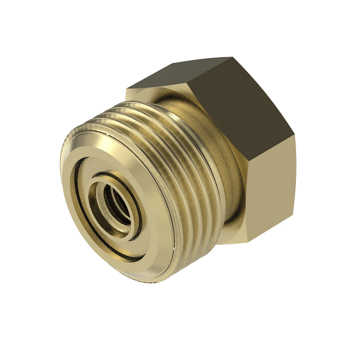 38H1146: Flat Face Fitting Plug