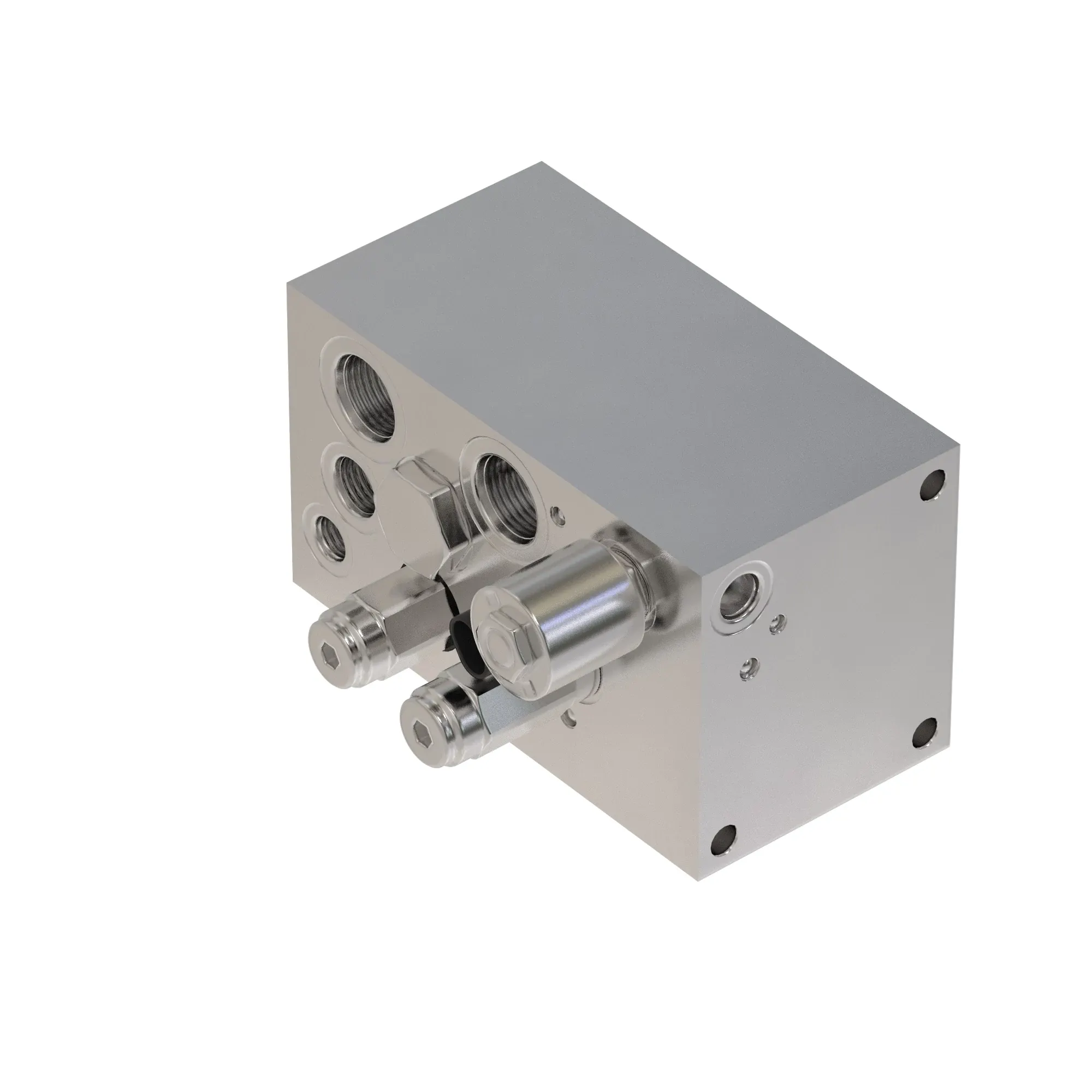 Manifold