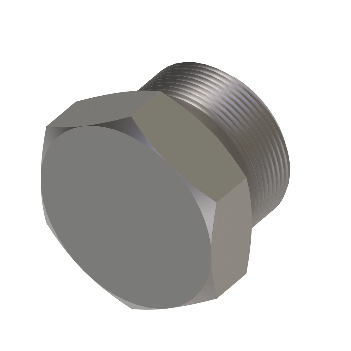 Fitting Plug