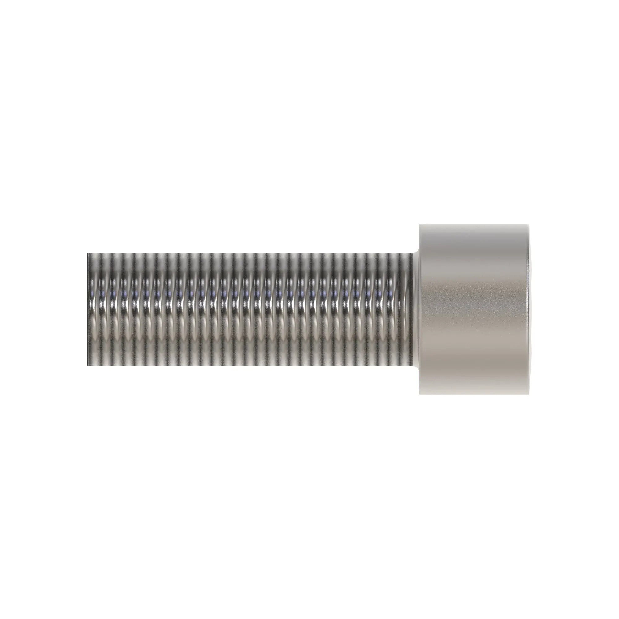 Socket Head Screw