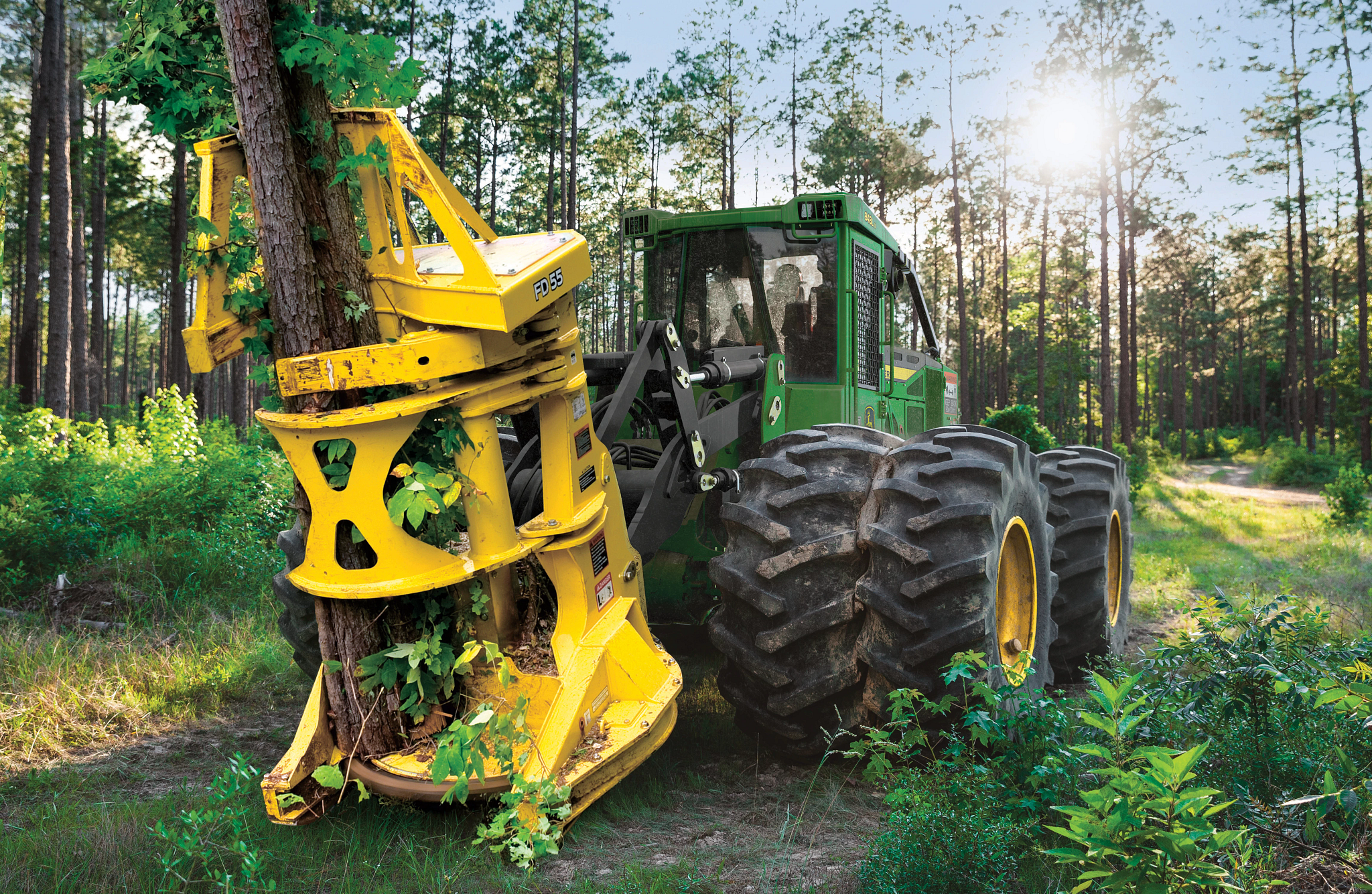 John Deere wheeled feller buncher grips and cuts a tree in a forest, with a yellow harvesting head holding the trunk as large tires navigate uneven terrain surrounded by dense greenery and sunlight filtering through trees.
