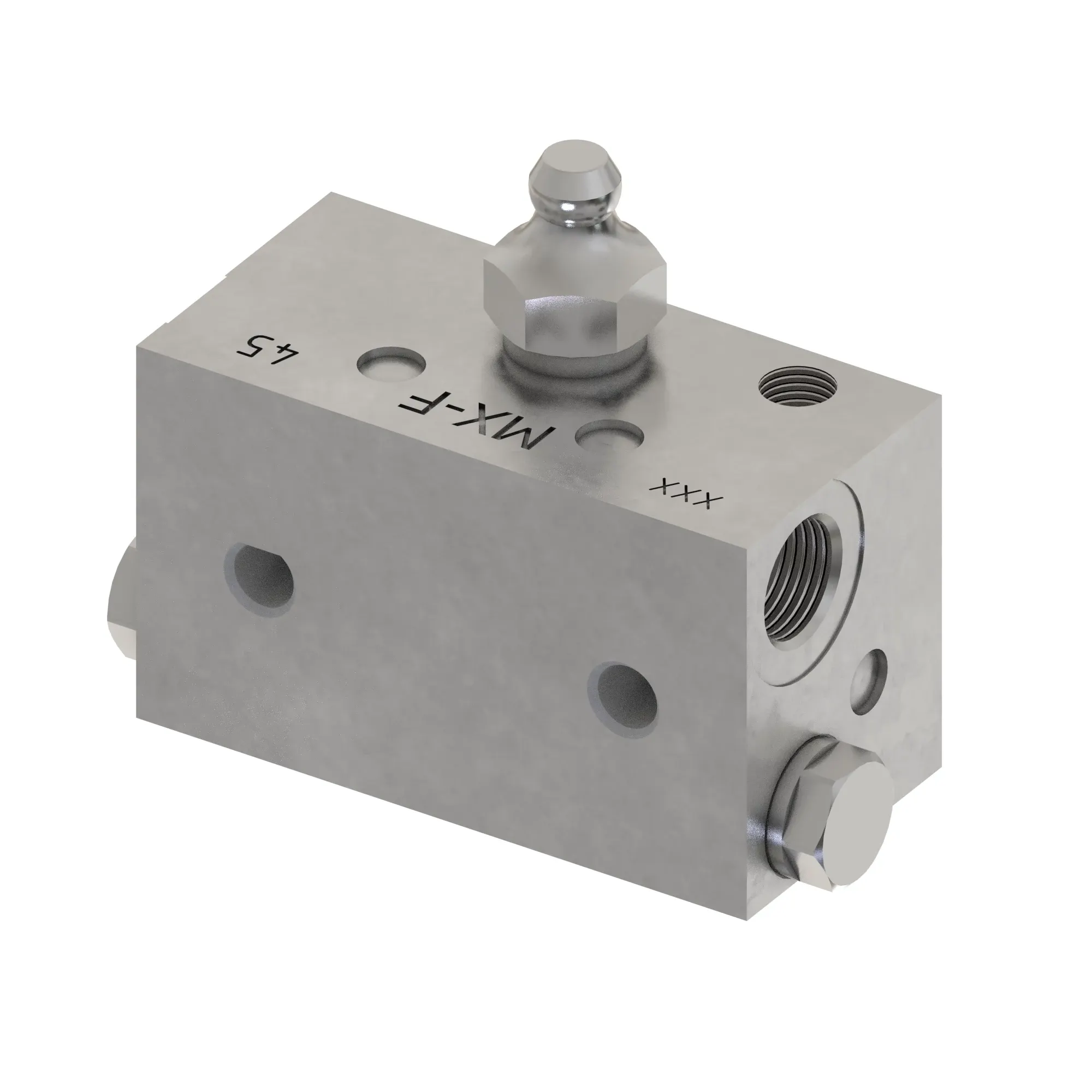 Manifold