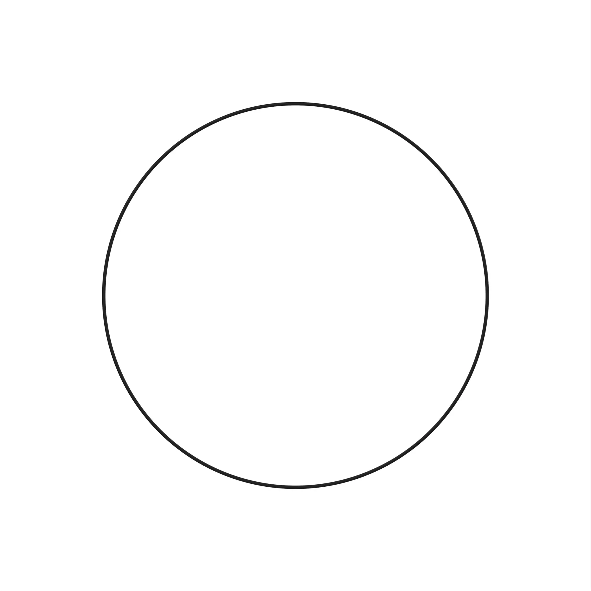 O-RING