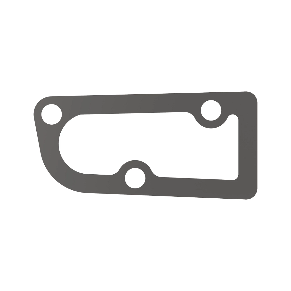 GASKET, OIL FILLER HOUSING, Gasket