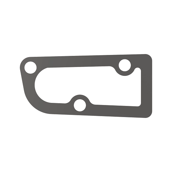 GASKET, OIL FILLER HOUSING, Gasket