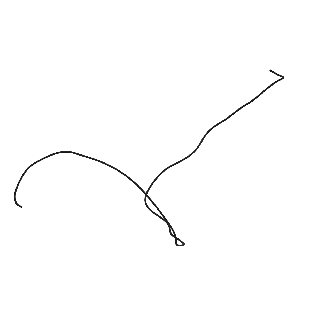 HOSE, FUEL COOLER INNER